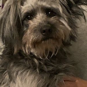 Meet your Posher, Ingrid